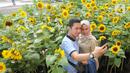 Pengunjung berswafoto di antara tanaman bunga matahari di Bogor Sky Garden, Mall BTM, Kota Bogor, Jawa Barat, Minggu (13/06/2021). Taman bunga matahari di atap gedung pusat perbelanjaan itu menjadi wisata alternatif gratis bagi pengunjung dalam mengisi libur akhir pekan. (merdeka.com/Arie Basuki)