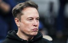 Respons Elon Musk saat Ada Analis Kritik Tesla: Tutup Mulutmu!