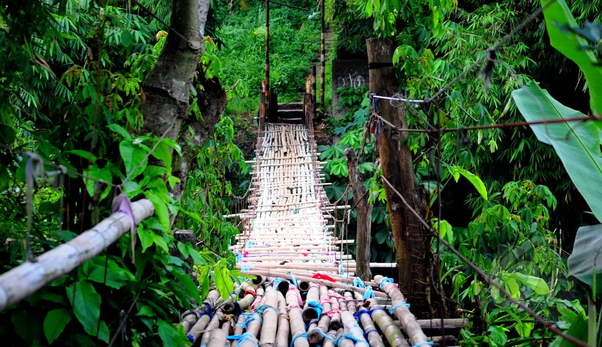 Penampakan jembatan bambu yang menghubungkan Kampung Bambon, Jakarta Selatan dan Kelapa Dua Depok, Depok, Jumat (13/3/2015). Kondisi jembatan sangat memprihatinkan dan bisa membayakan penggunanya. (Liputan6.com/Yoppy Renato)