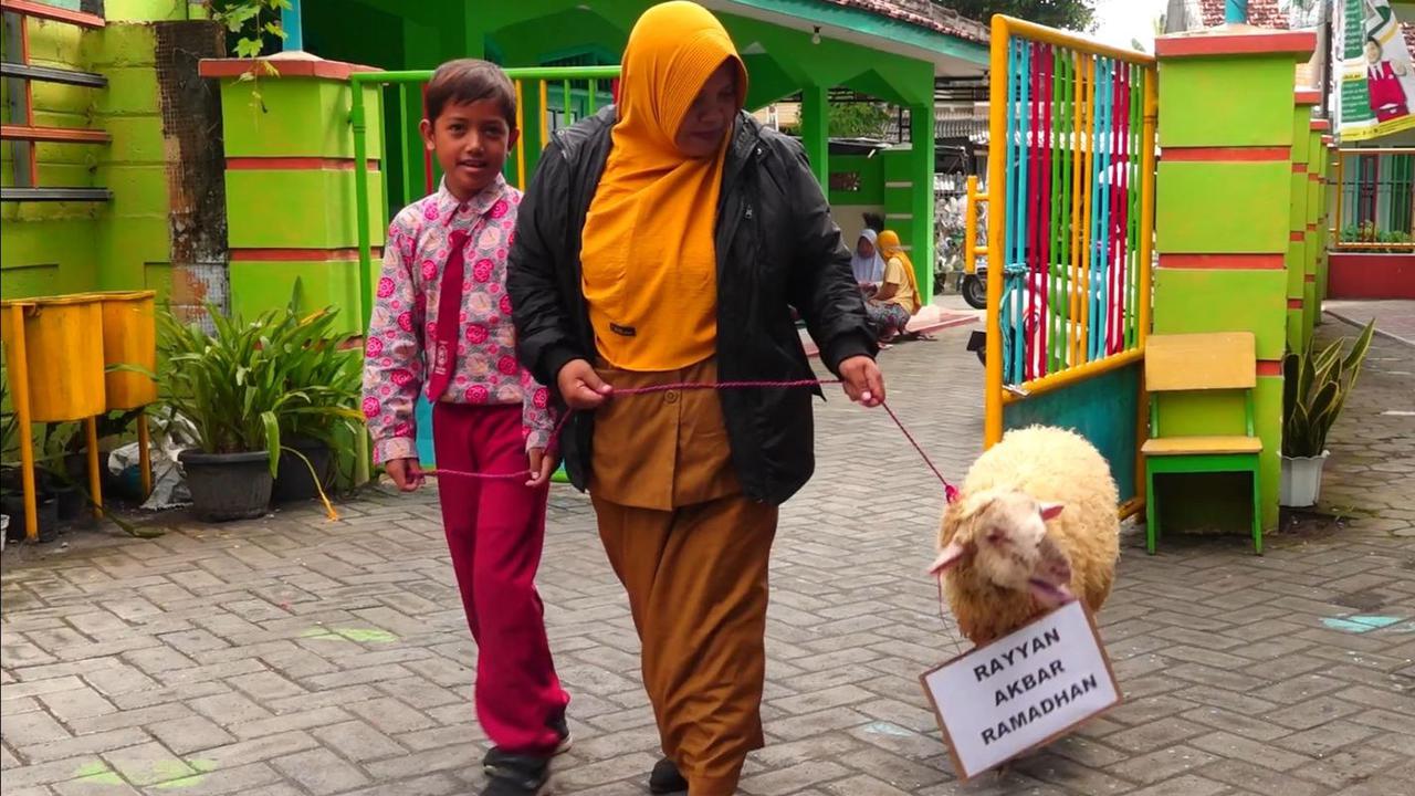 Cerita Rayyan, Bocah 9 Tahun Asal Lumajang Berkurban Kambing Peliharaannya