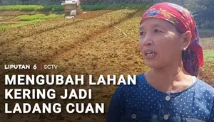 Mengubah Lahan Kering Jadi Ladang Cuan