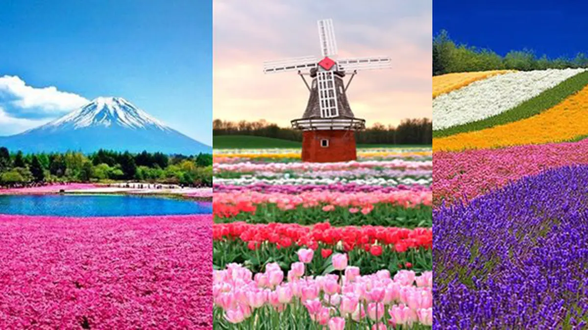 15 Taman Bunga Indah di Seluruh Dunia - Photo Fimela.com