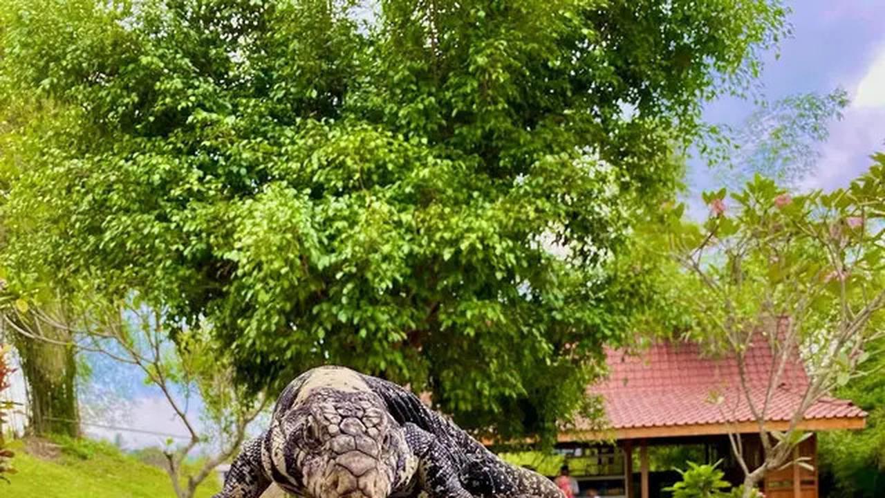 5 Rekomendasi Wisata Jogja Kids Friendly Terbaru 2025, Seru dan Menarik