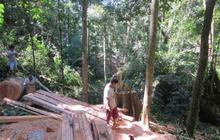 Parahnya kerusakan hutan lindung di Sulut akibat tambang ilegal