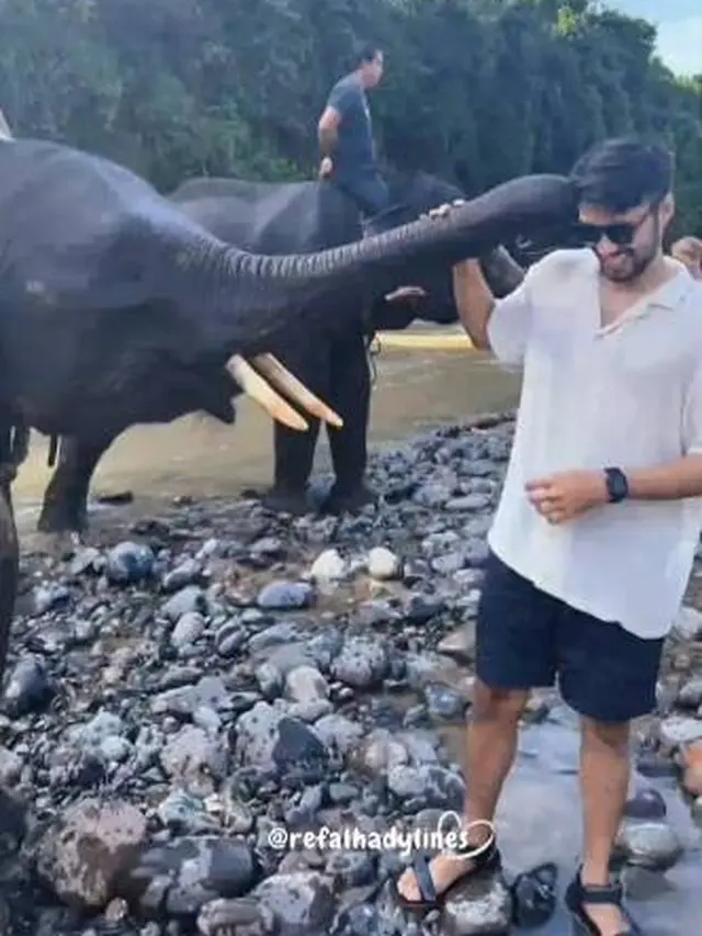6 Momen Refal Hady saat di Tangkahan Ini Seru Main dengan Gajah