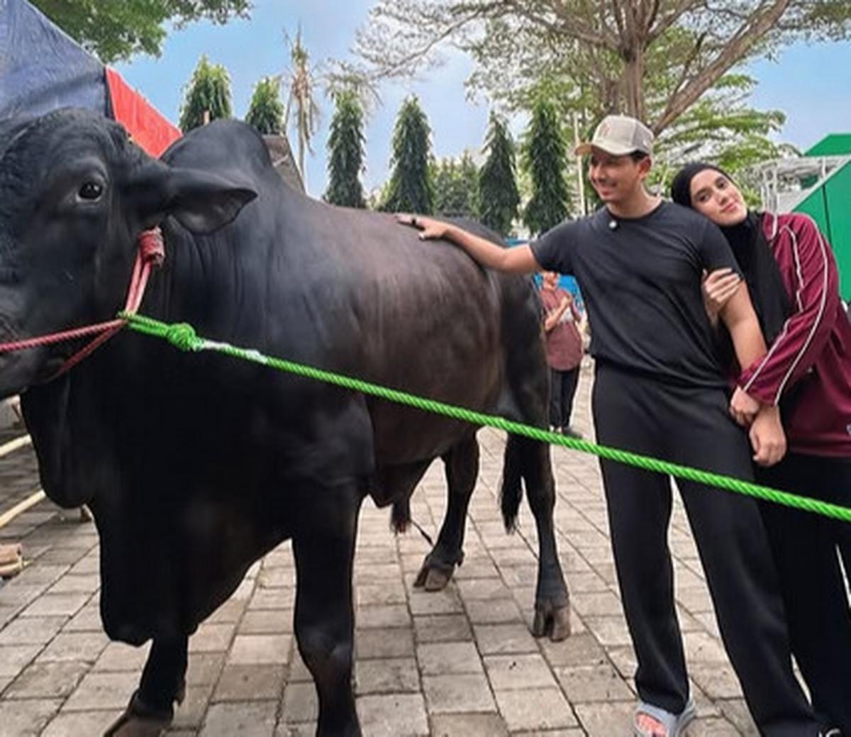 Penampakan Sapi Kurban 1,2 Ton Sonny Septian dari Raffi Ahmad, Bernama Kahfi - Diantar Langsung sama Irfan Hakim