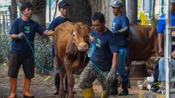 Pada Hari Raya Idul Adha 1446 Hijriah/2025 Masehi, panitia kurban Masjid Istiqlal, Jakarta menyembelih 55 ekor sapi dan 81 ekor kambing. (Liputan6.com/Angga Yuniar)