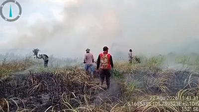 Kebakaran Kepung Way Kambas, Bagaimana Kondisi Gajah Liar?
