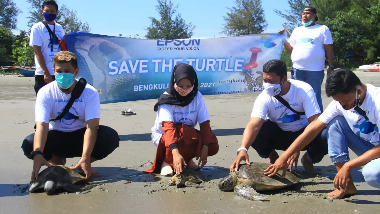 Jaga Kelestarian, 600 Ekor Tukik Dilepas di Pantai Tapak Padri Bengkulu