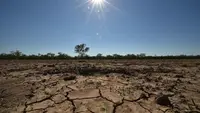 Gelombang Panas Landa Australia Tenggara, Suhu Capai Level Ekstrem 50 Derajat Celcius