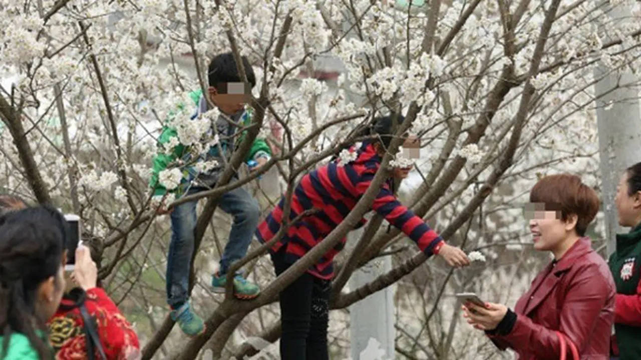 copyright by shanghaiist.com