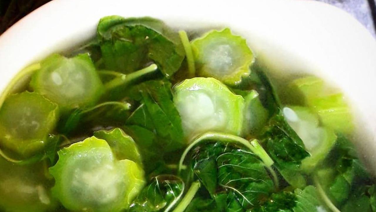 Manfaat Sayur Oyong dalam Menurunkan Kolesterol serta Menjaga Kesehatan Jantung