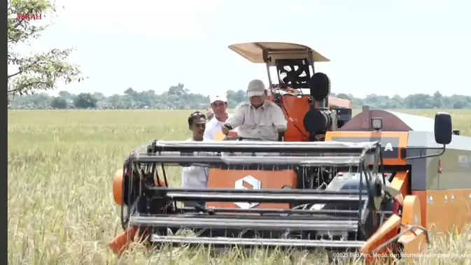    Prabowo Turun ke Sawah: Bukan Cuma Pidato, Tapi Juga Jajal Mesin Panen!