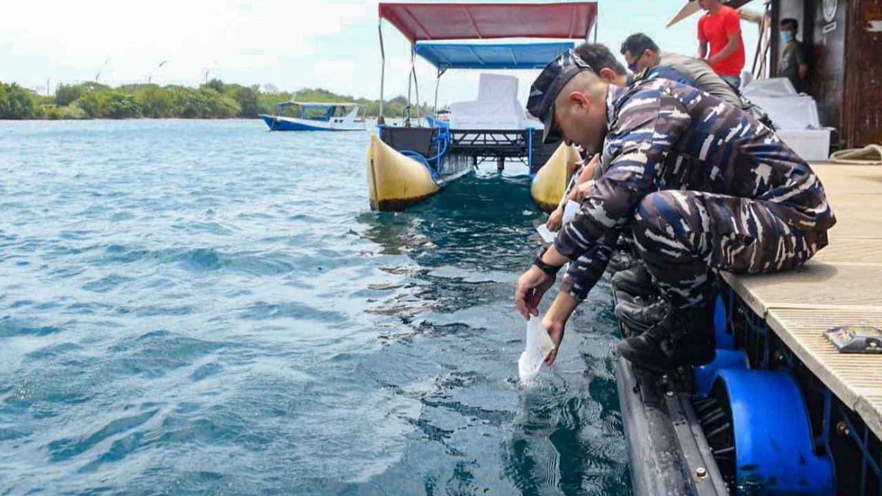 FOTO: TNI AL Gagalkan Penyelundupan 85 Ribu Benih Lobster di Banyuwangi