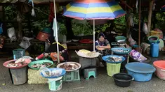 Sejumlah wanita muslim menjual ikan di pinggir jalan di Narathiwat, provinsi selatan Thailand (19/12). Narathiwat adalah tiga provinsi Thailand yang mempunyai jumlah umat Muslim yang besar. (AFP Photo/Lillian Suwanrumpha)