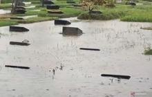 Banjir Jakarta Jumat Pagi: 125 RT dan 14 Ruas Jalan Terendam, BPBD Ungkap Sebaran Wilayah Terdampak