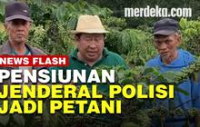 VIDEO: Susno Duadji Terbiasa Mencangkul di Sawah dan Membabat Lahan