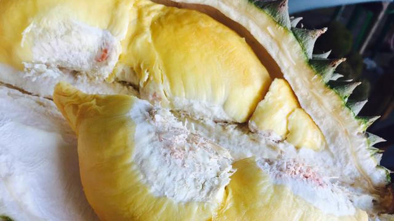 Cara Menyimpan Durian di Kulkas agar Tidak Bau dan Tetap Segar