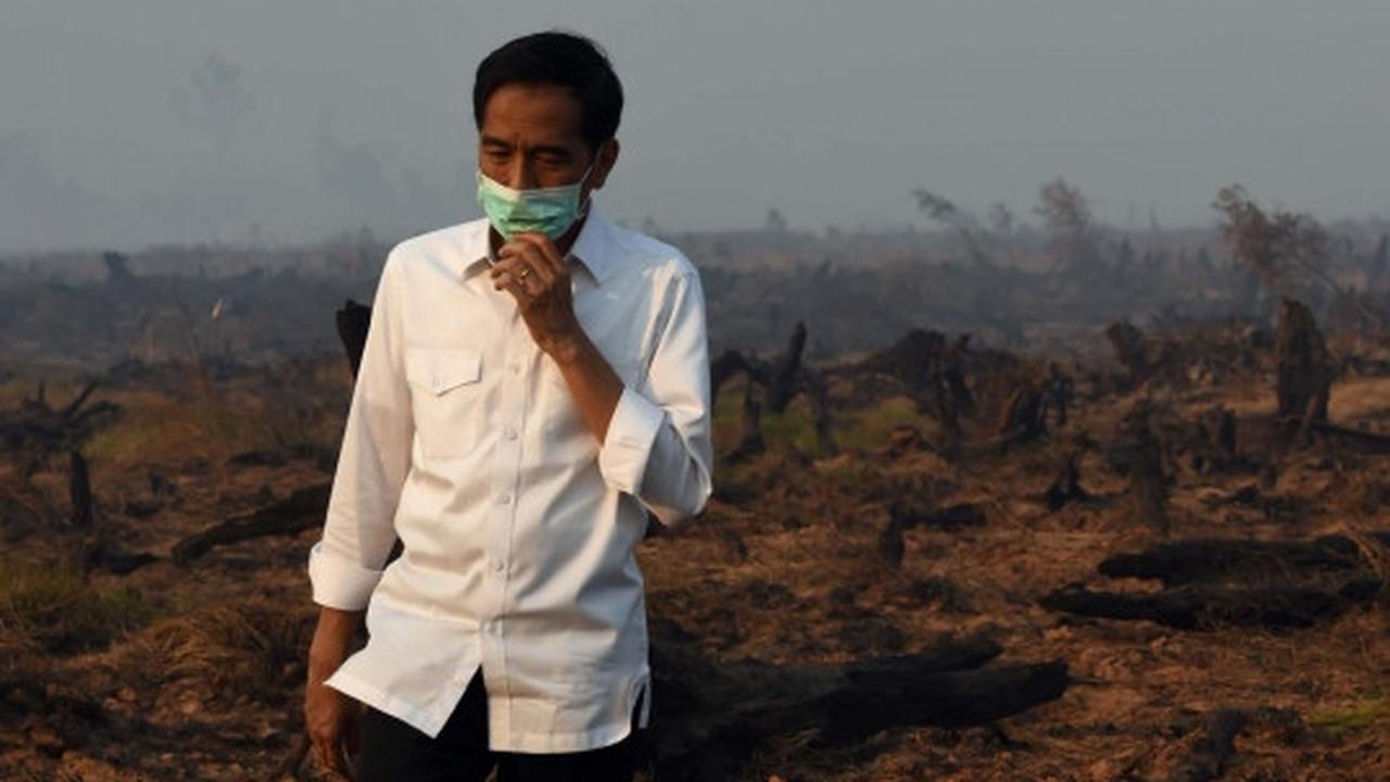 Aksi Jokowi tinjau langsung kebakaran hutan di Kalimantan