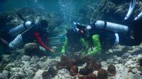 Diving sebagai salah satu aksi yang dilakukan dalam program Sekolah Pantai Indonesia atau SPI di SMKS Kristen Solagratia Tongkaina Manado.