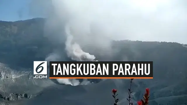 Setelah hampir 1 bulan erupsi Gunung Tangkuban Parahu kembali meninggi, semburan abu vulkanik mencapai ingga 150 meter. Meski demikian status gunung masih waspada dan level aman 1,5 km dari kawah.