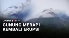 Gunung Merapi di perbatasan Yogyakarta dan Jawa Tengah kembali semburkan awan panas disertai guguran material batuan pada Minggu sore. Erupsi kali ini memiliki jarak luncur sekitar 1.500 meter mengarah ke Barat Daya atau ke Kali Boyong.