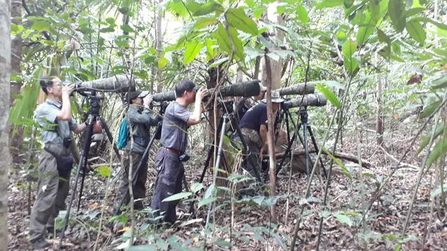 Birdwatching