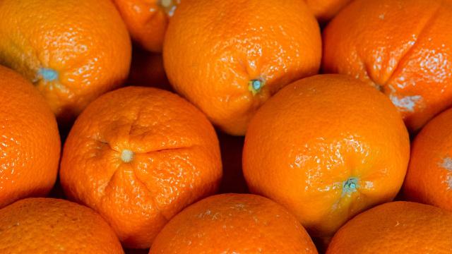 Naranjas de color naranja (Pexels)