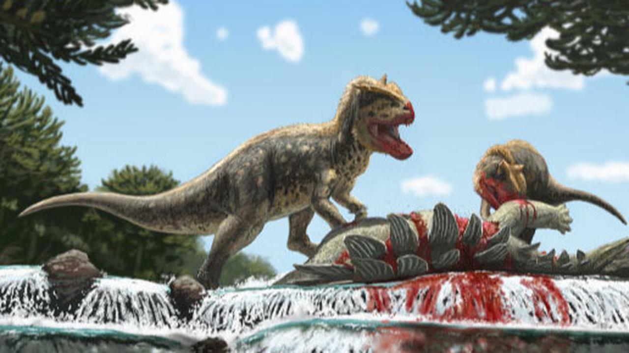 Ilmuwan Temukan Fakta Baru Dinosaurus Ternyata Punya Bulu, Fungsinya Tak Hanya Untuk Terbang