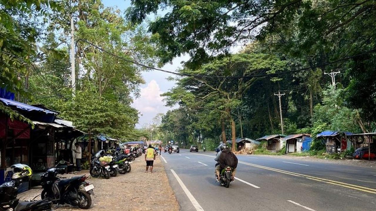 Alas Roban: Dari Jalur Mudik Legendaris Pantura hingga Sunyi Setelah Tol Trans Jawa