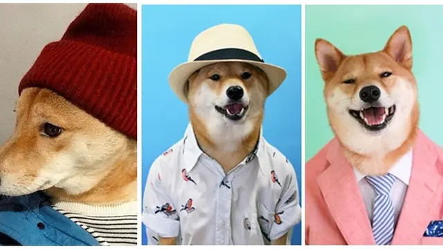 (c) mashable, instagram