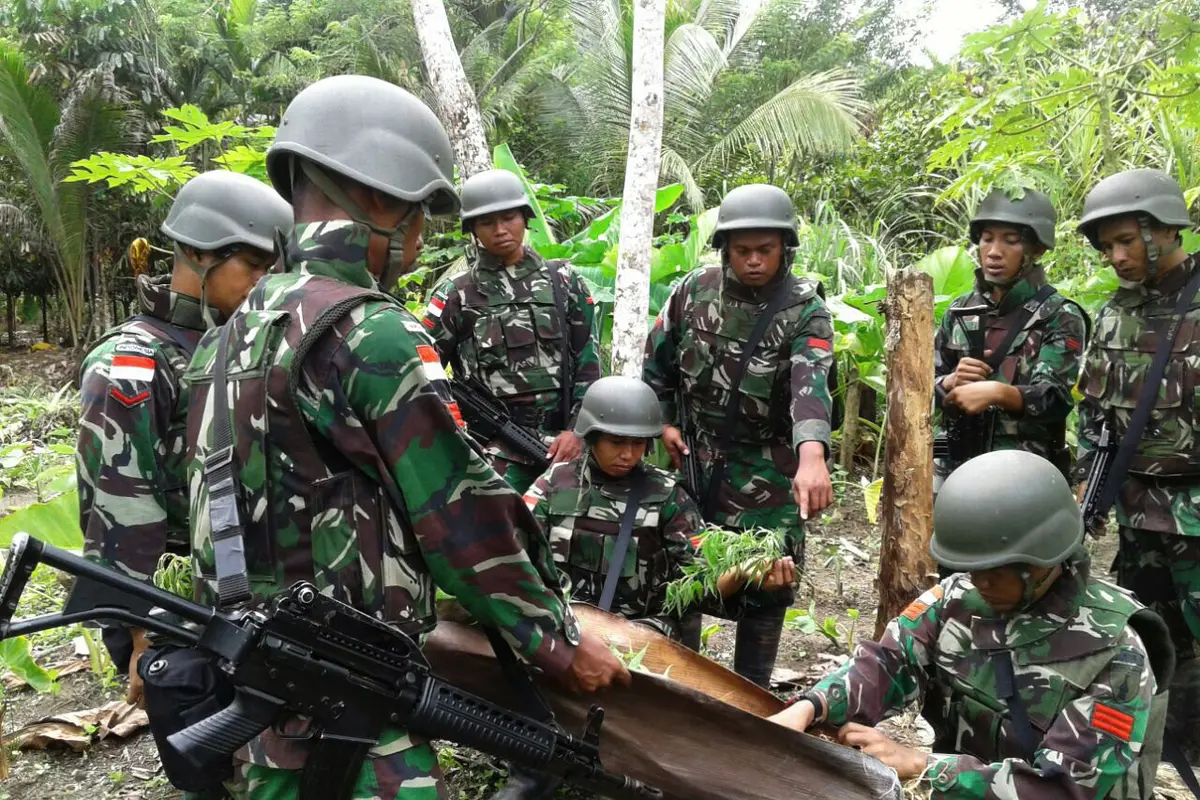 Tanaman Ganja