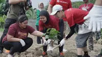 Akulaku Group bersama LindungiHutan saat pelaksanaan CSR penanaman pohon di Hutan Kota Ujung Menteng, Jakarta Timur. (Istimewa)