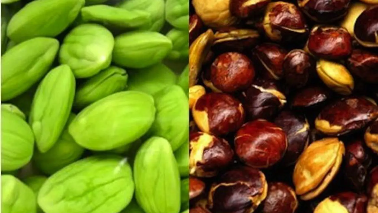 Antara Jengkol dan Pete, Lebih Laku Mana?