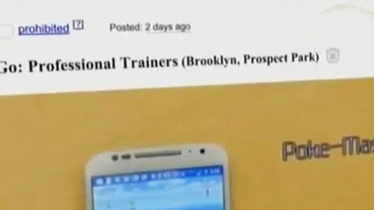 Pokemon Trainers