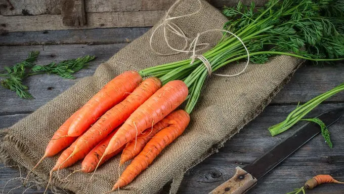 Wortel Bisa Sembuhkan Penyakit Mata, Mitos atau Fakta?