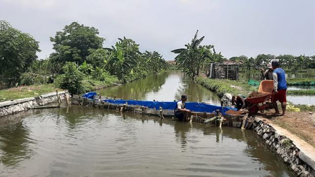 Tanggulangin, Sidoarjo