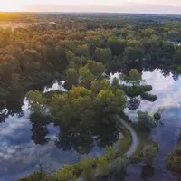Hutan Amazon (Foto:  Unsplash/ @aaronburden)