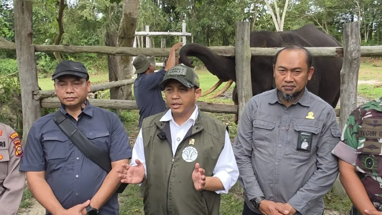 Menteri Kehutanan (Menhut) Raja Juli Antoni (Istimewa)