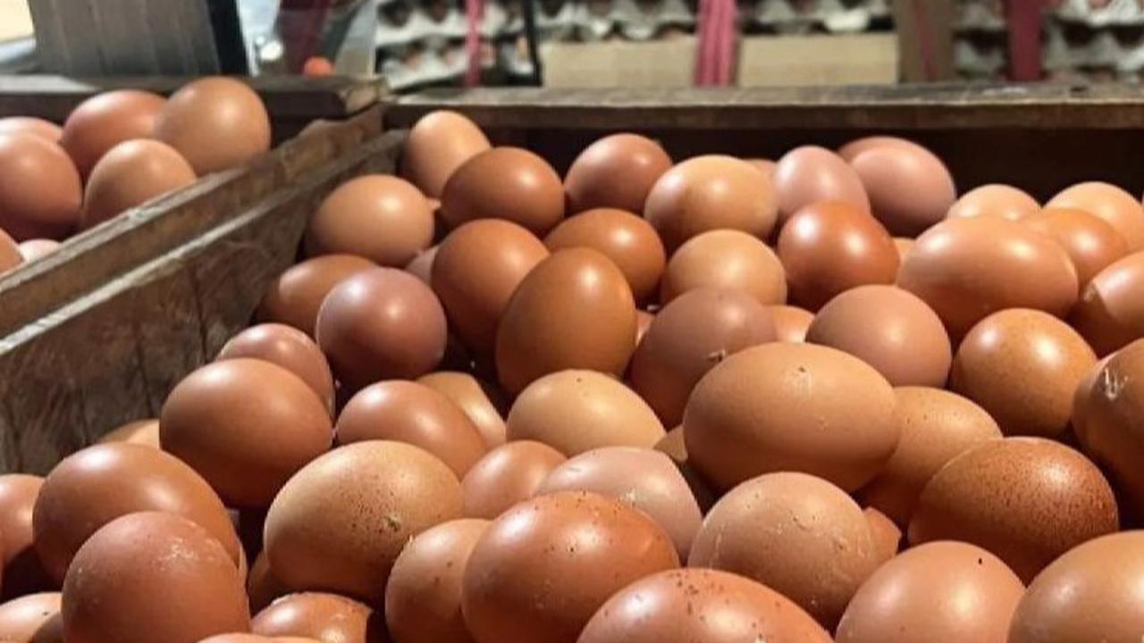 Harga Bawang Merah Turun, Tapi Telur Ayam Naik! Ini Update Harga Pangan Terbaru
