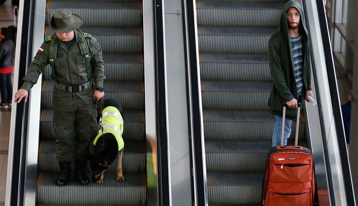 Petugas Jose Rojas dan anjing narkoba, Sombra berpatroli di bandara El Dorado, Bogota, 26 Juli 2018. Anjing kepolisian Kolombia itu menjadi target pembunuhan kartel narkoba dengan hadiah 200 juta peso atau lebih dari Rp 1 miliar. (AP/Fernando Vergara)