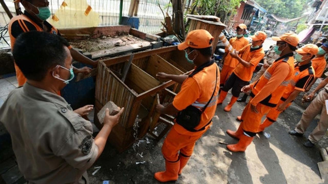Antisipasi flu burung, kandang unggas di bantaran Ciliwung dibongkar