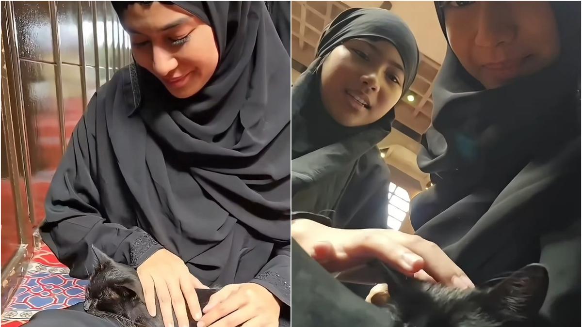 Potret Dian Sastrowardoyo Dihampiri Kucing Hitam di Makkah, Gemas