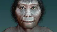 Rekaan seniman tentang wanita Homo floriensis. (Sumber Katrina Kenny)
