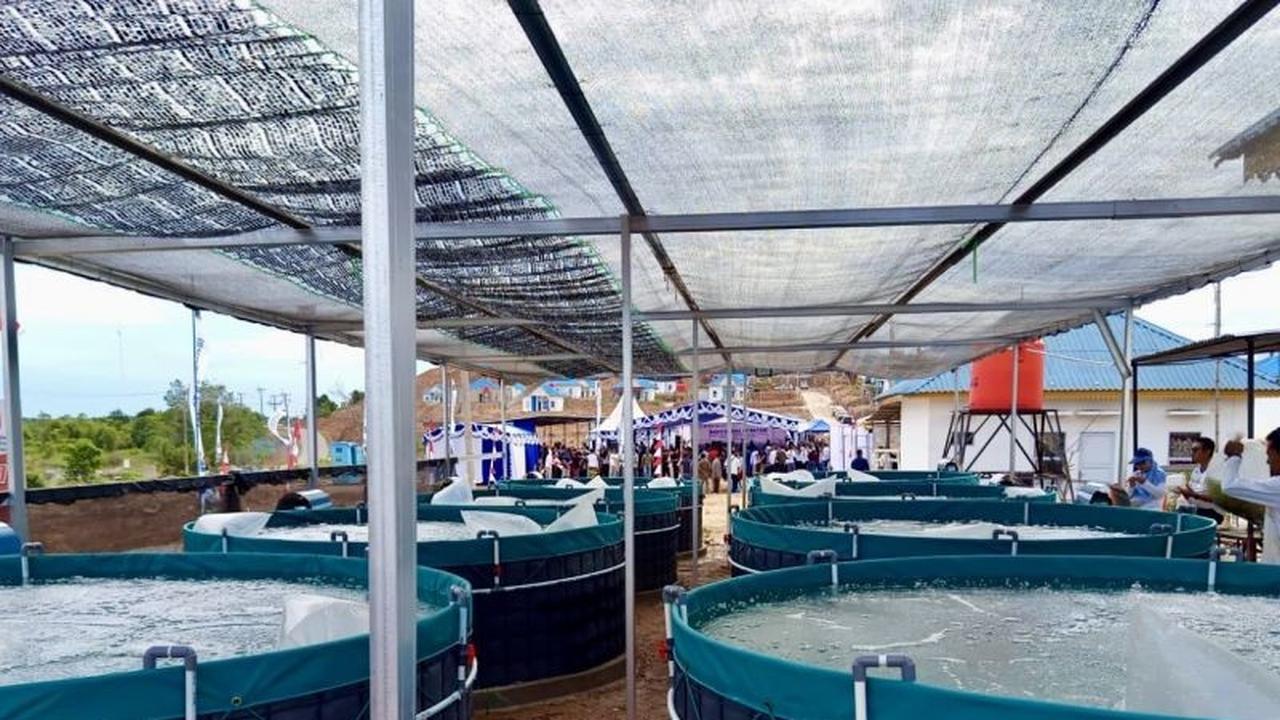 Budidaya Bioflok Batam Jadi Solusi Alternatif Mata Pencarian Nelayan Pesisir