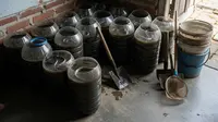 Cara Ternak Belut di Galon untuk Pemula yang Praktis, Hemat Lahan, dan Cepat Panen