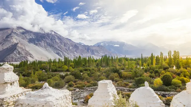 Nubra Valley, Ladakh