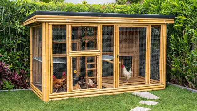 Model Kandang Ayam Bambu Kombinasi Kebun di Lahan 2x3 (Foto: Reve.com)