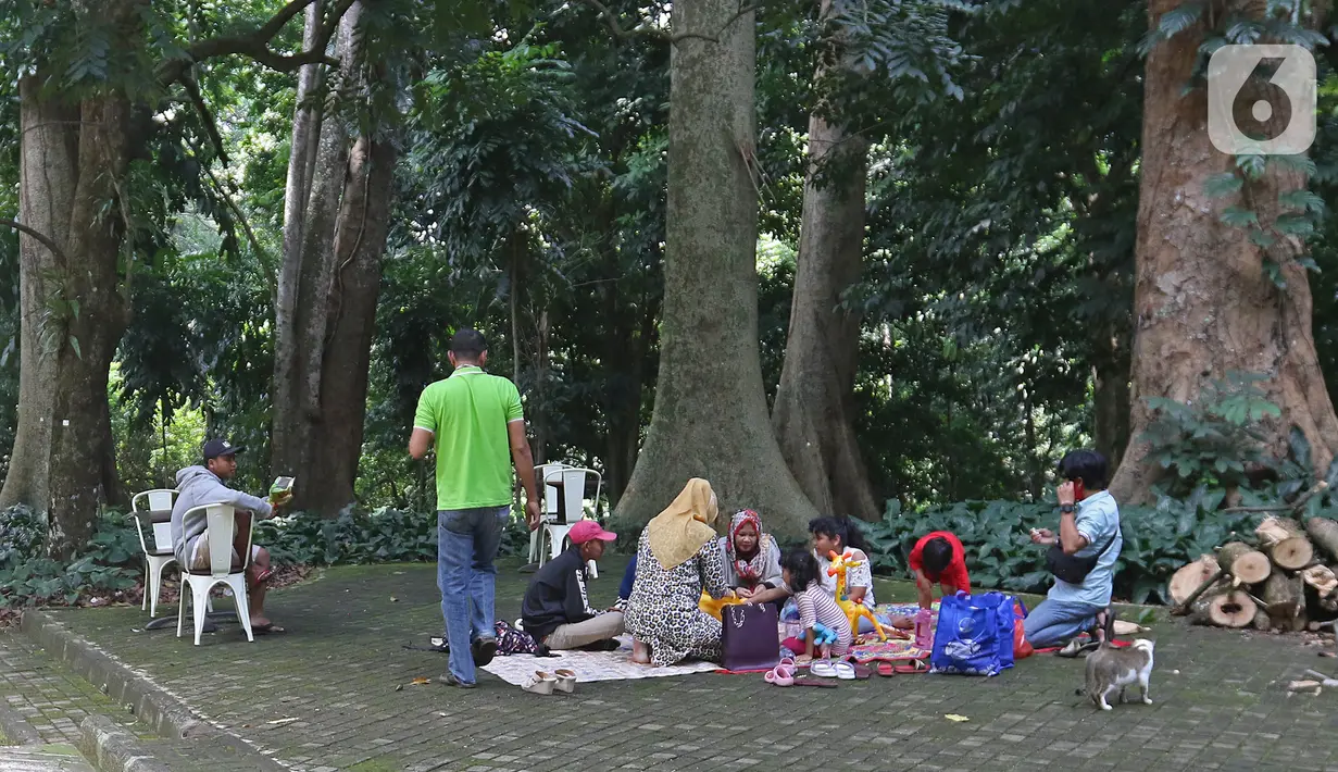 Sejumah pengunjung bersantai di Kebun Raya Bogor, Jawa Barat, Selasa (7/7/2020). Kebun Raya Bogor dan Kebun Raya Cibodas kembali dibuka untuk umum dengan protokol kesehatan pencegahan penyebaran pandemi COVID-19. (Liputan6.com/Herman Zakharia)