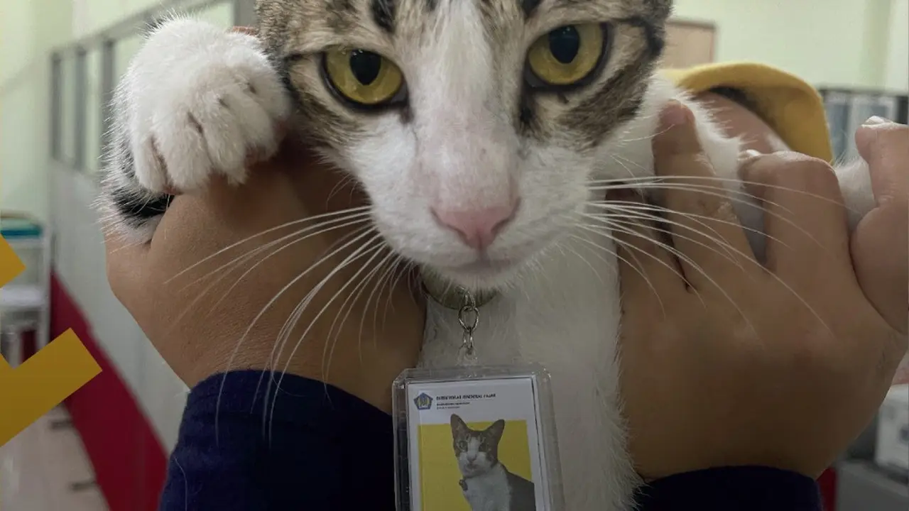 Soleh Pegawai Kucing Ditjen Pajak Serpong